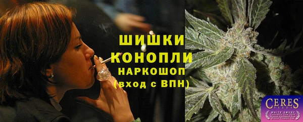 дурь Богородицк